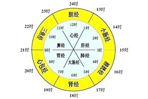 海南紅妝學(xué)校十二經絡與問題性皮膚的美容關系