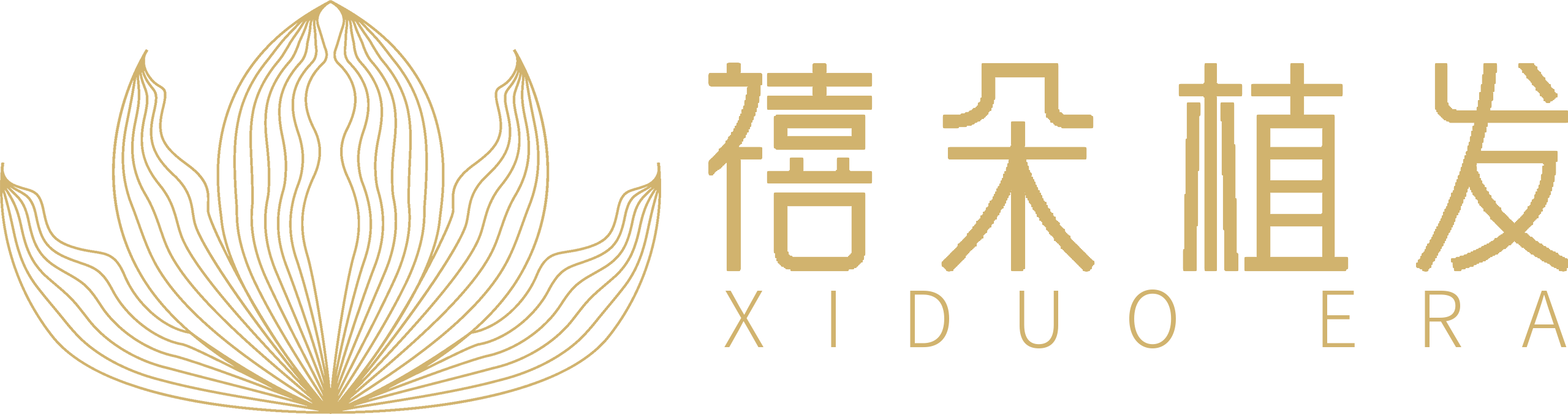 湖(hú)南禧朵醫(yī)療美容診所有(yǒu)限公(gōng)司